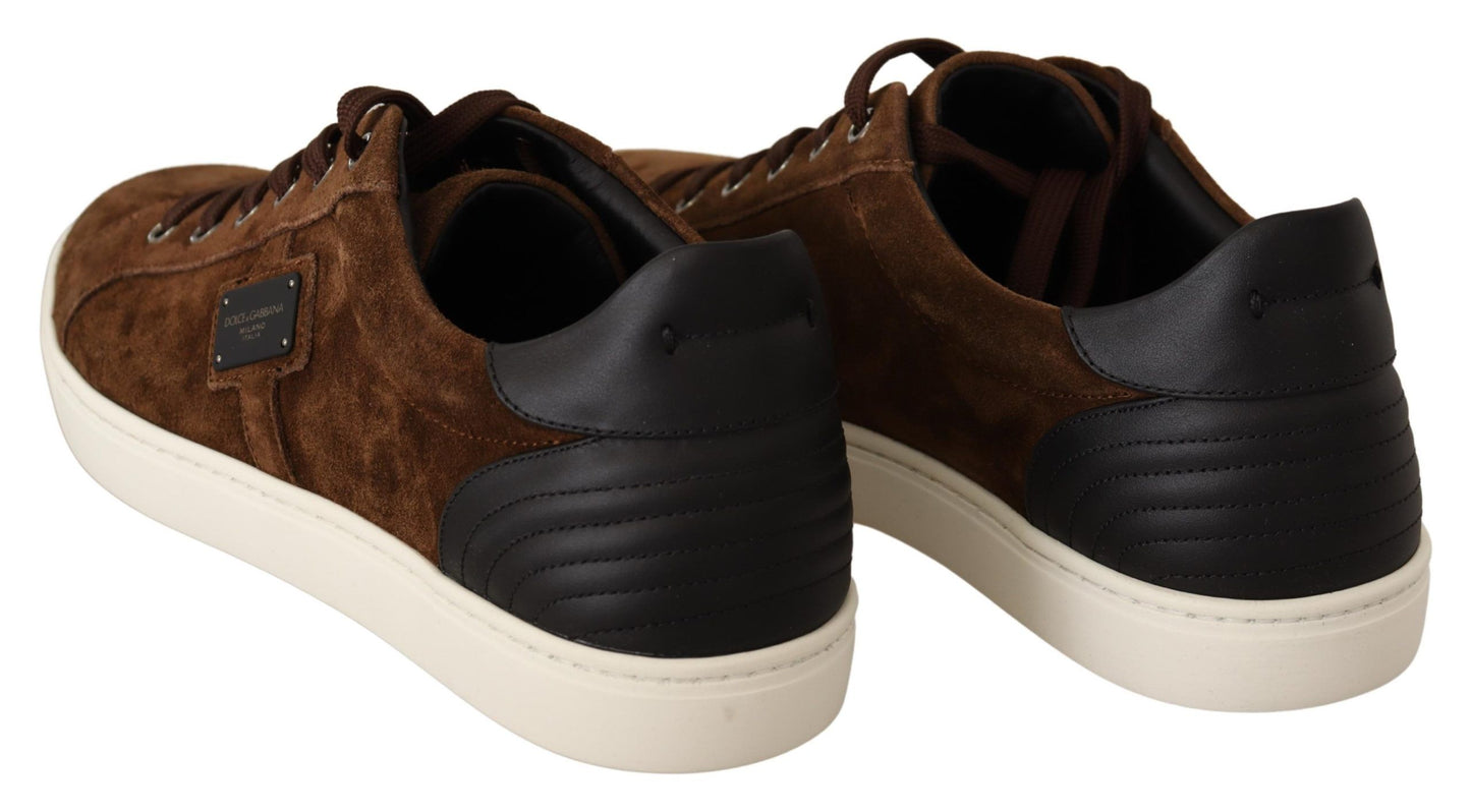 Dolce &amp; Gabbana Elegant Leather Casual Sneakers in Brown