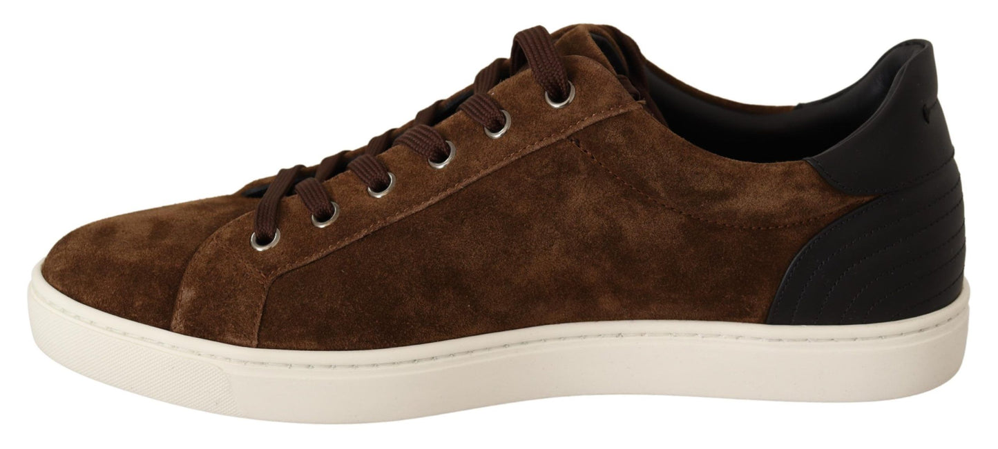 Dolce &amp; Gabbana Elegant Leather Casual Sneakers in Brown