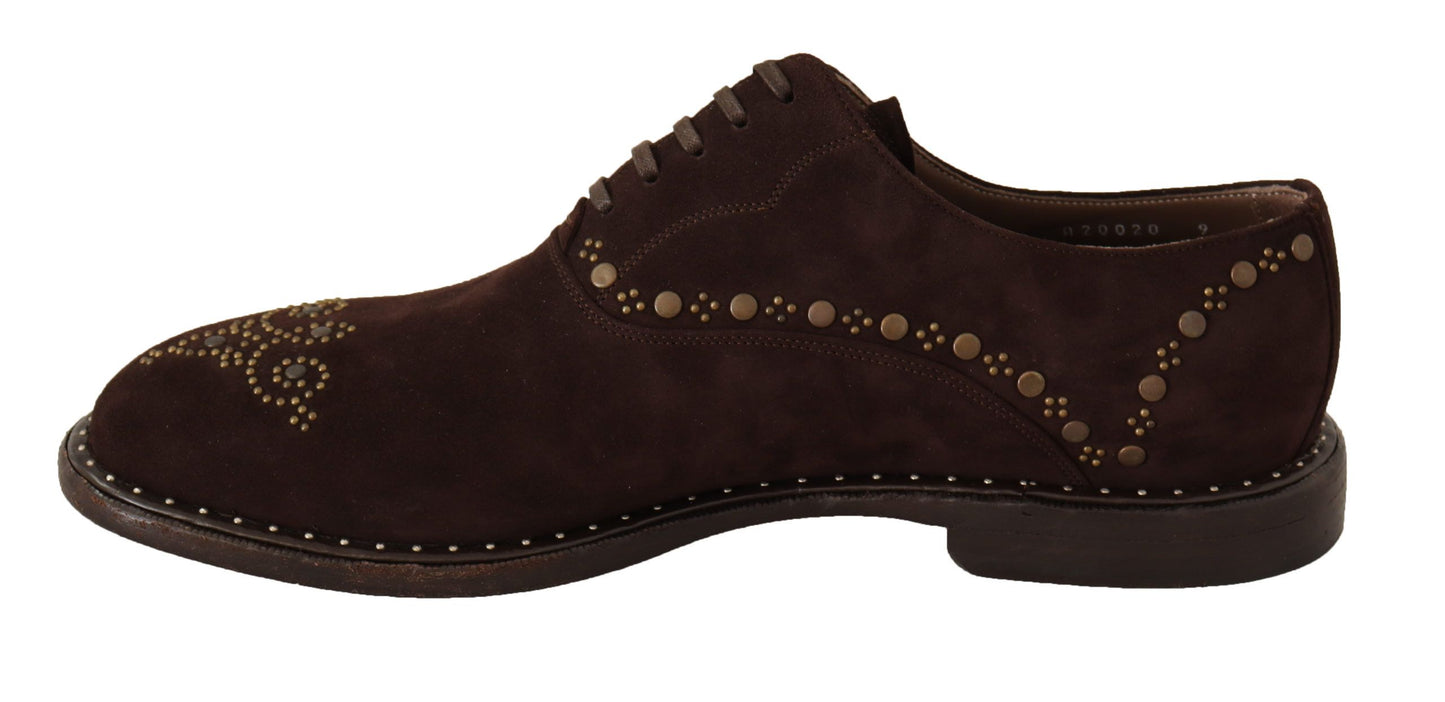 Dolce &amp; Gabbana Elegant Derby Shoes in Brown Suede with Studs