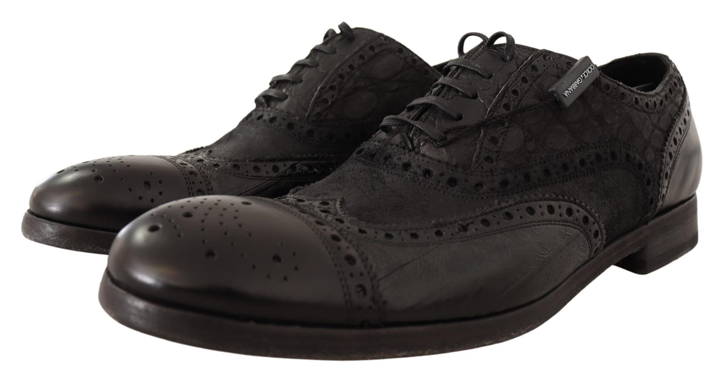 Dolce &amp; Gabbana Exotic Leather Brogue Derby Dress Shoes