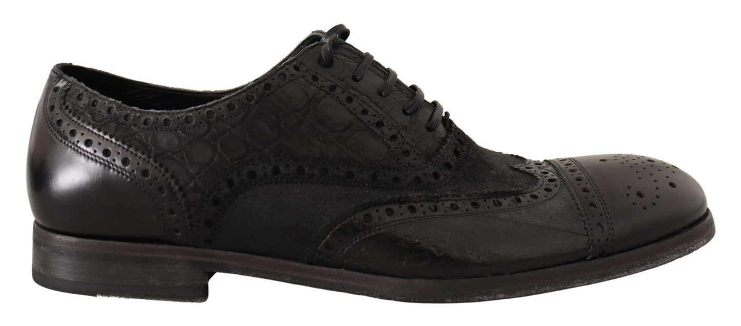 Dolce &amp; Gabbana Exotic Leather Brogue Derby Dress Shoes