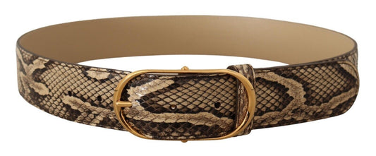 Dolce &amp; Gabbana Elegant Phyton Leather Belt with Gold Buckle