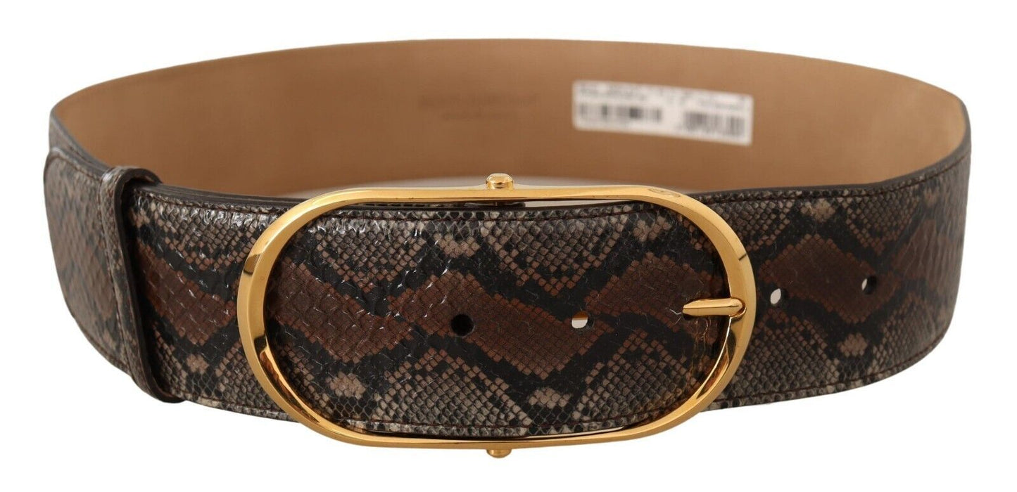 Dolce &amp; Gabbana Elegant brown leather belt with gold buckle