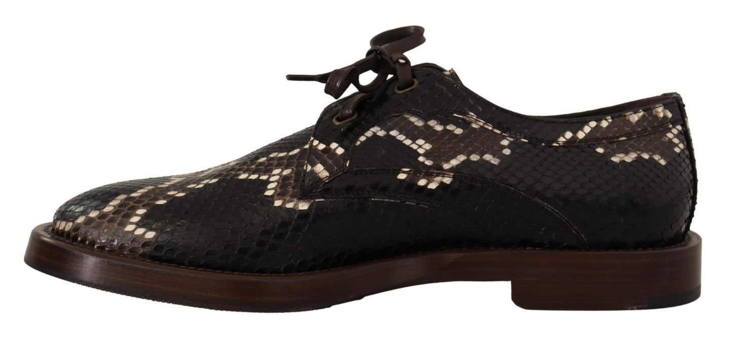 Dolce &amp; Gabbana Elegant Formal Python Derby Shoes