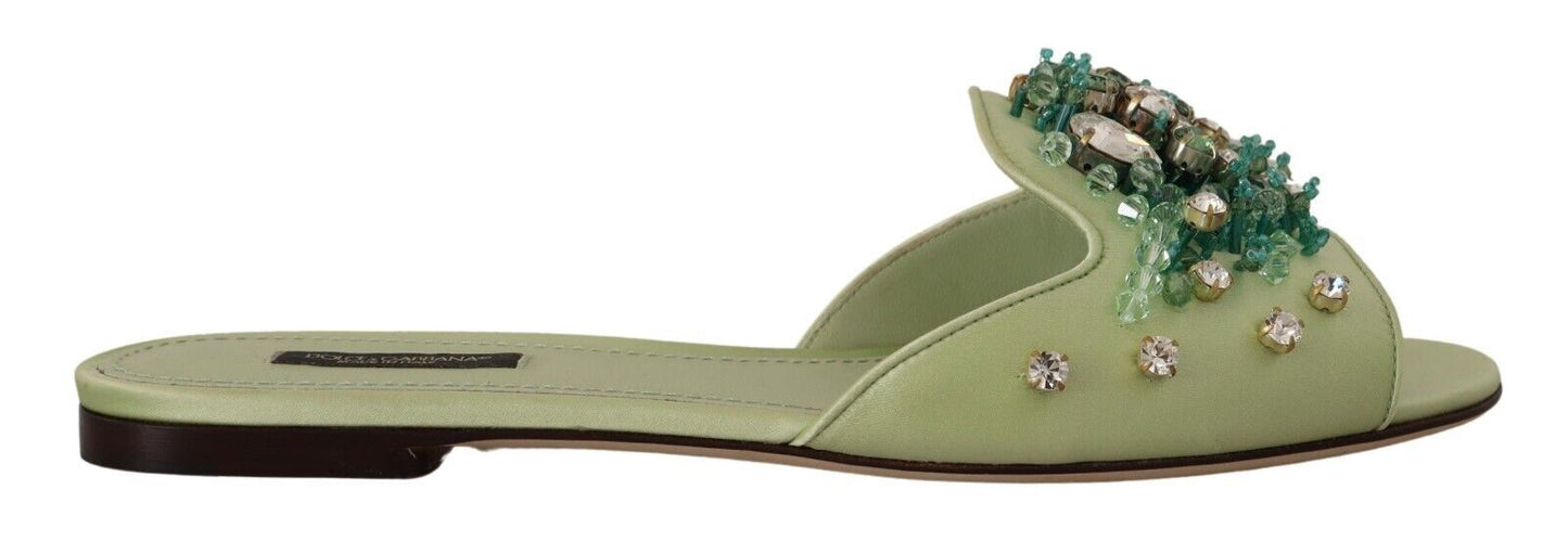 Dolce &amp; Gabbana Elegant crystal-embellished green leather mules