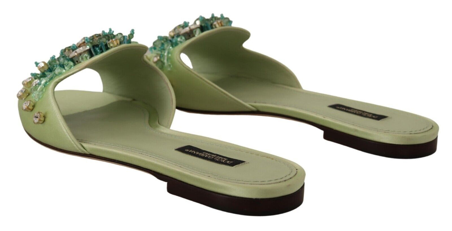 Dolce &amp; Gabbana Elegant crystal-embellished green leather mules