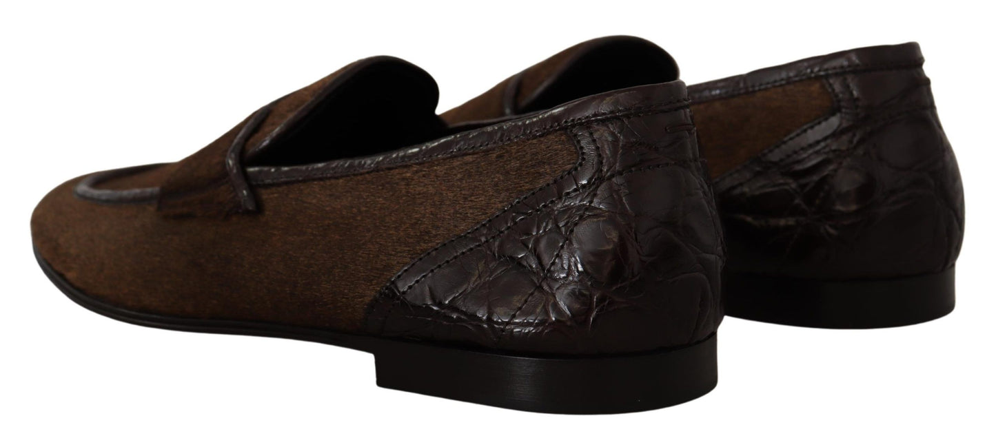 Dolce &amp; Gabbana Elegant brown loafers made of caiman leather