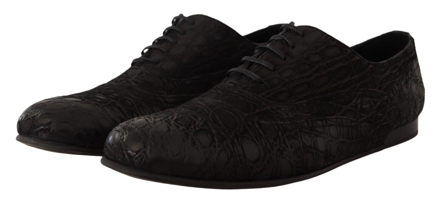 Dolce & Gabbana Elegante Oxford-Schuhe aus exotischem Leder