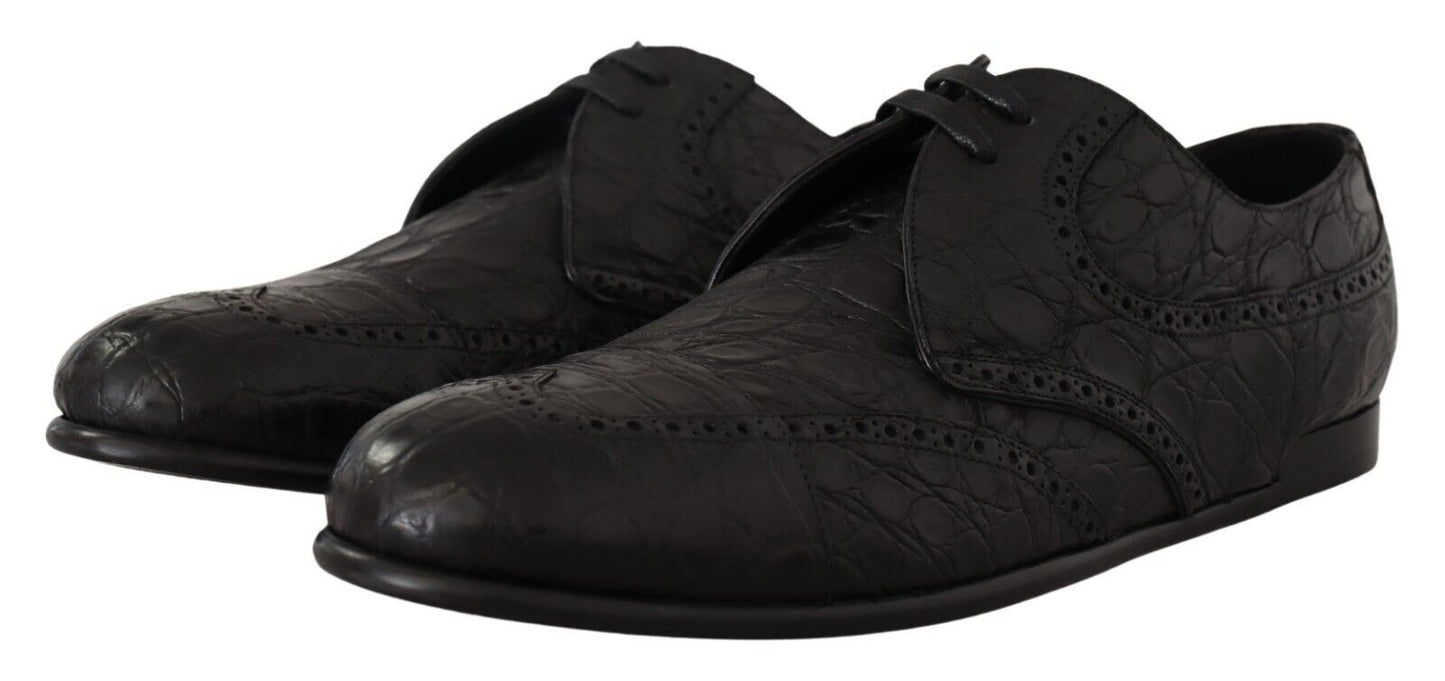 Dolce &amp; Gabbana Exquisite Derby Shoes Made of Exotic Leather