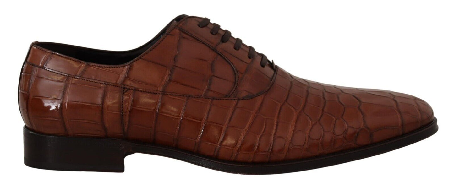 Dolce &amp; Gabbana Elegant formal shoes made of exotic crocodile leather