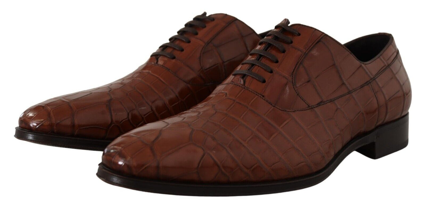 Dolce &amp; Gabbana Elegant formal shoes made of exotic crocodile leather