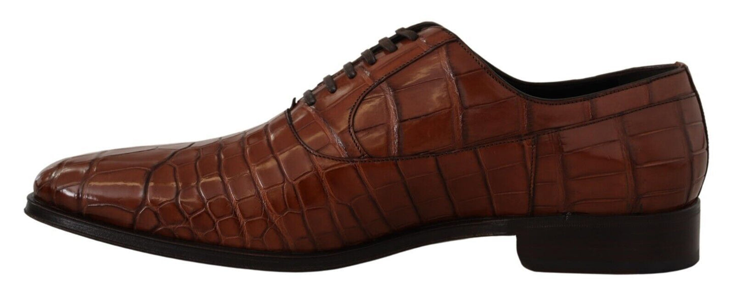 Dolce &amp; Gabbana Elegant formal shoes made of exotic crocodile leather