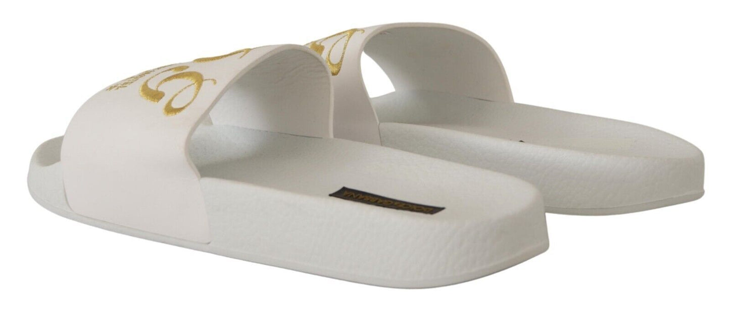 Dolce &amp; Gabbana Chic white leather mules with gold embroidery