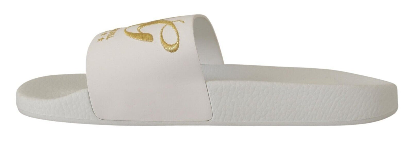 Dolce &amp; Gabbana Chic white leather mules with gold embroidery