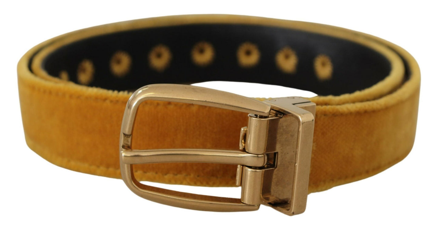 Dolce &amp; Gabbana Elegant Velvet Belt with Gold Buckle for Women