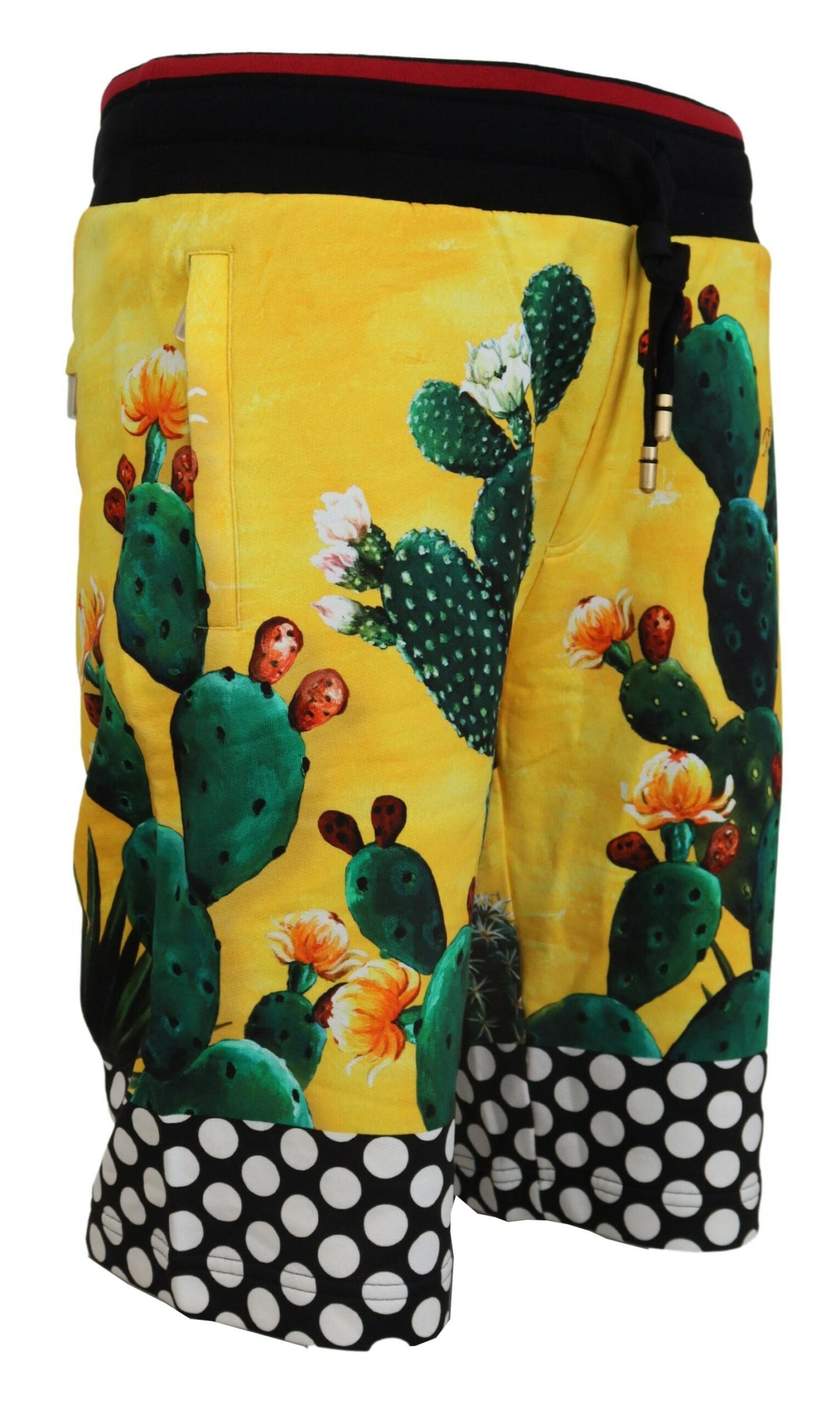 Dolce &amp; Gabbana Multicolor Cactus Print Sweat Shorts