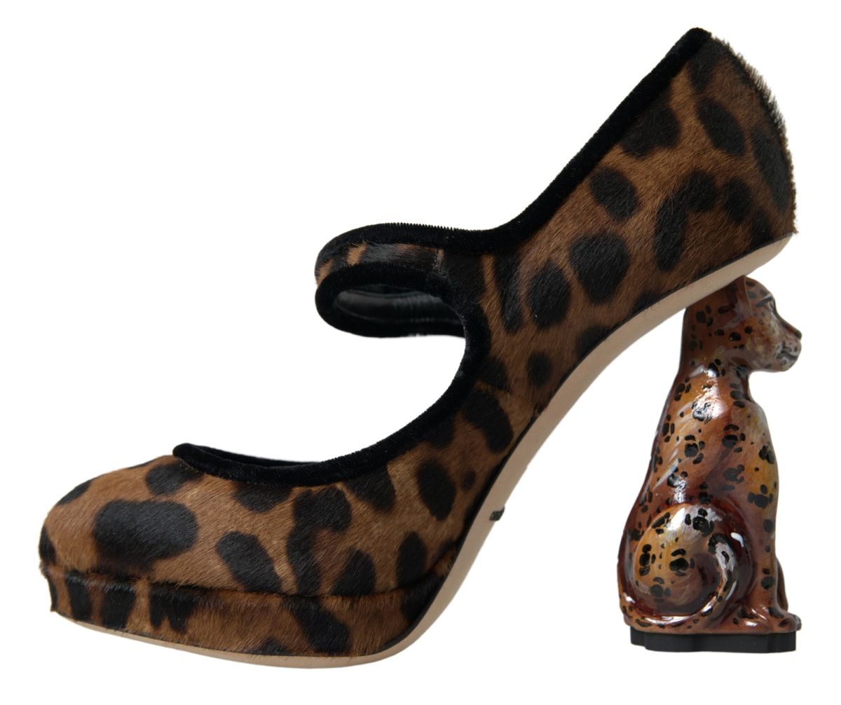 Dolce &amp; Gabbana Elegant pumps with leopard heels for chic sophistication