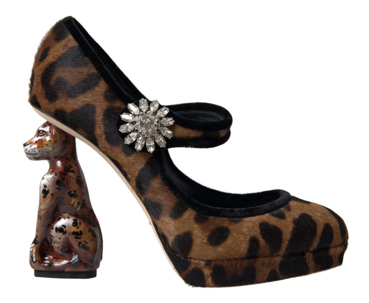 Dolce &amp; Gabbana Elegant pumps with leopard heels for chic sophistication