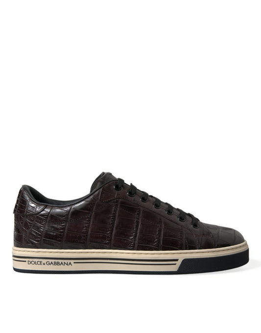 Dolce &amp; Gabbana Elegant low-top sneakers made of exotic leather