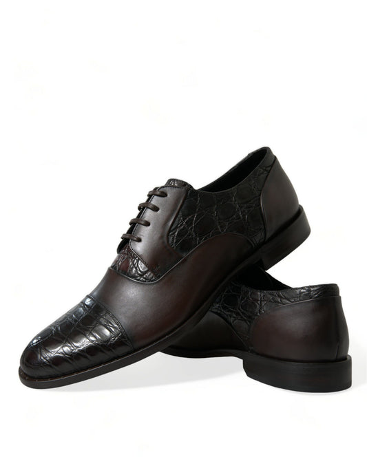 Dolce &amp; Gabbana Elegant Brown Formal Derby Shoes