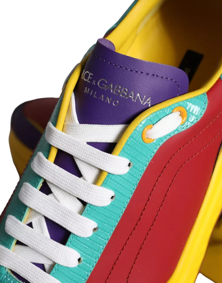 Dolce &amp; Gabbana Multicolor Daymaster Low Top Sneakers Shoes