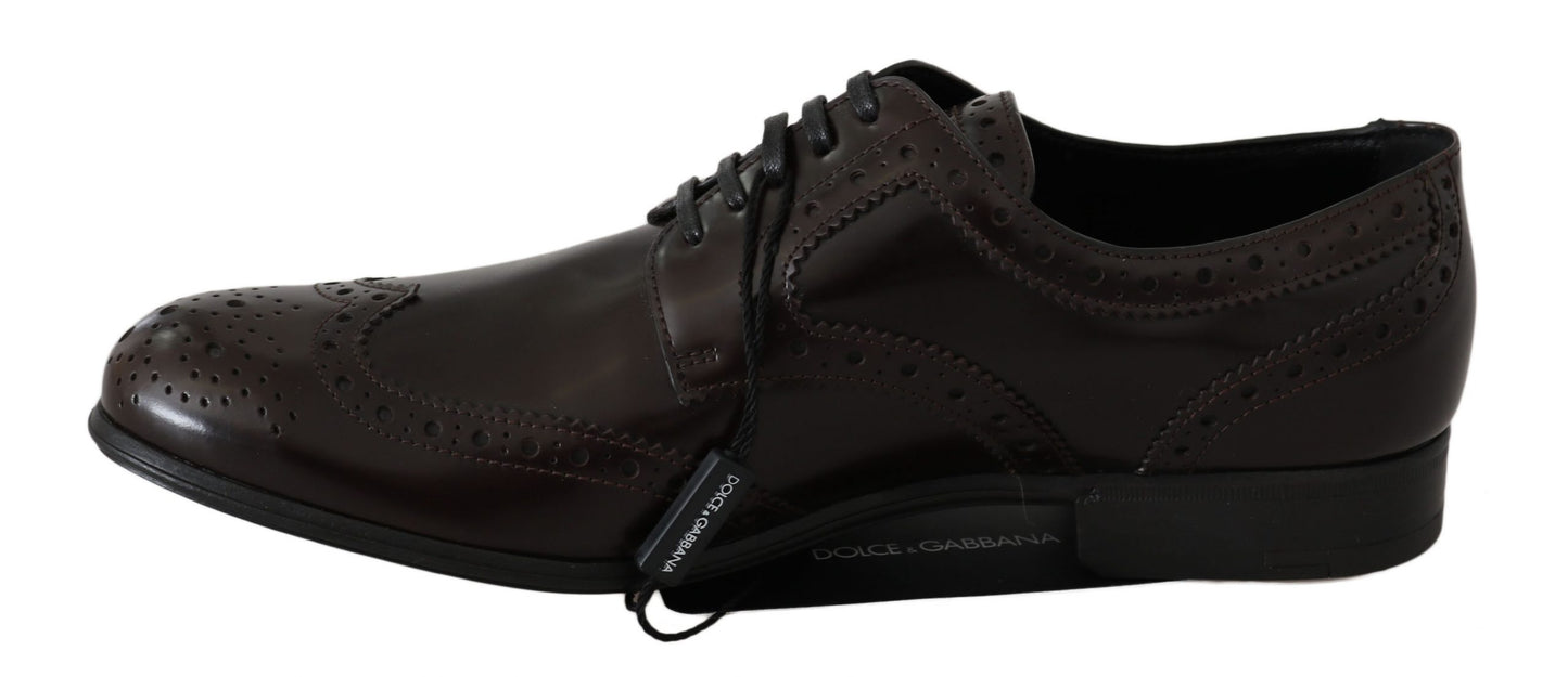 Dolce &amp; Gabbana Elegant Oxford flats in brown leather